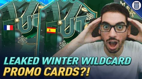 winterd leaked|WinterD